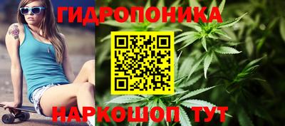 прущие грибы Гай