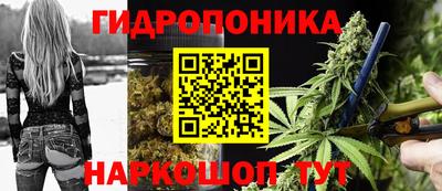 прущие грибы Гай