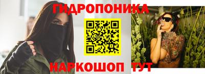 прущие грибы Гай