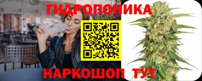 шишки Гагарин