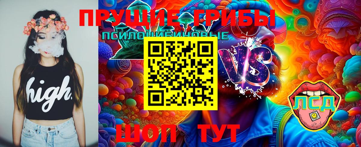 Псилоцибиновые грибы мицелий  Вход с VPN  Мегион 