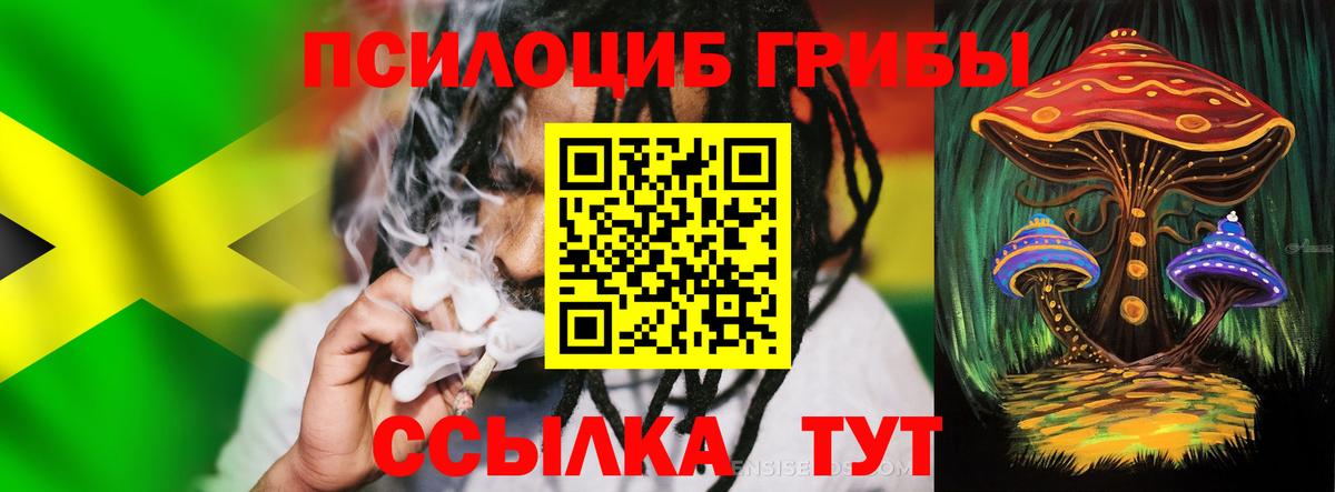 Галлюциногенные грибы прущие грибы Мегион